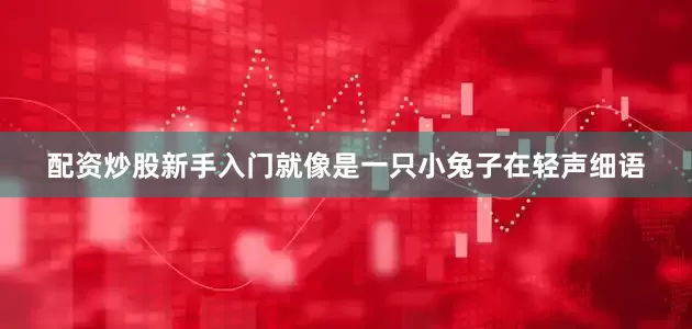 配资炒股新手入门就像是一只小兔子在轻声细语