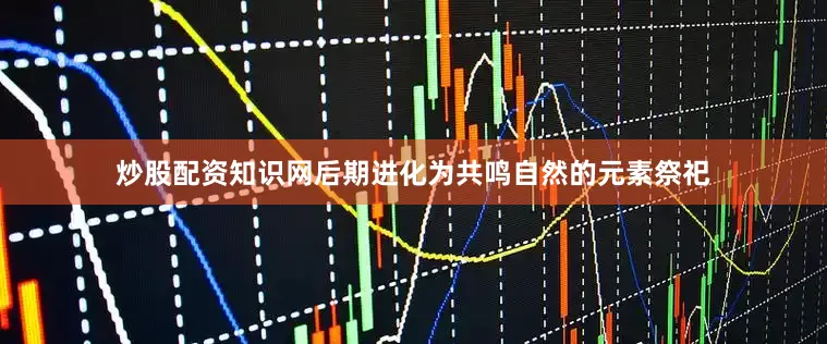 炒股配资知识网后期进化为共鸣自然的元素祭祀