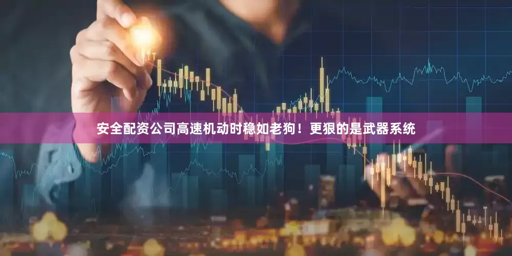 安全配资公司高速机动时稳如老狗！更狠的是武器系统