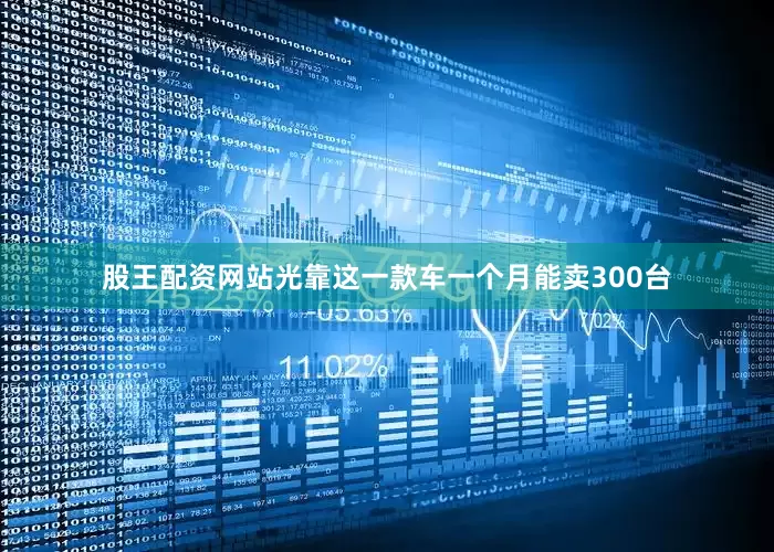 股王配资网站光靠这一款车一个月能卖300台