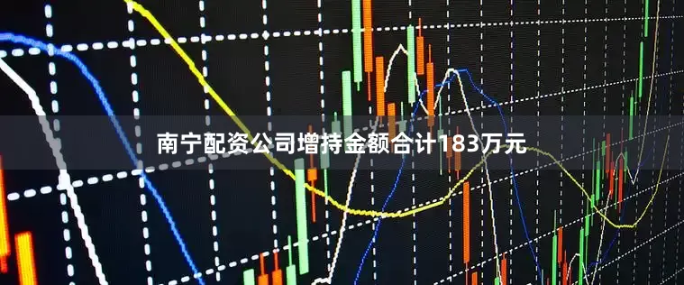 南宁配资公司增持金额合计183万元